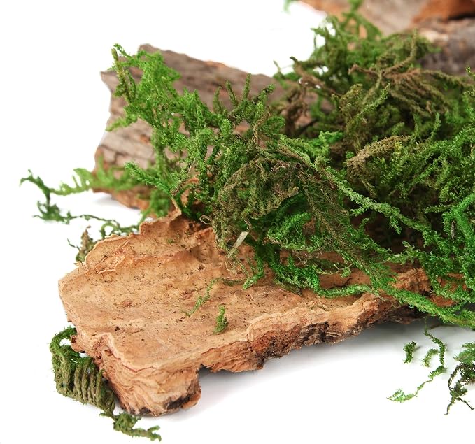 BYHER Fake Moss for Crafts, Tree Bark for Crafts, Floral Arrangements - Image 4