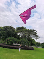 B2 Model Airplane Kite, Large Easy to Fly Kites Adults, 300FT String Reel - Image 3