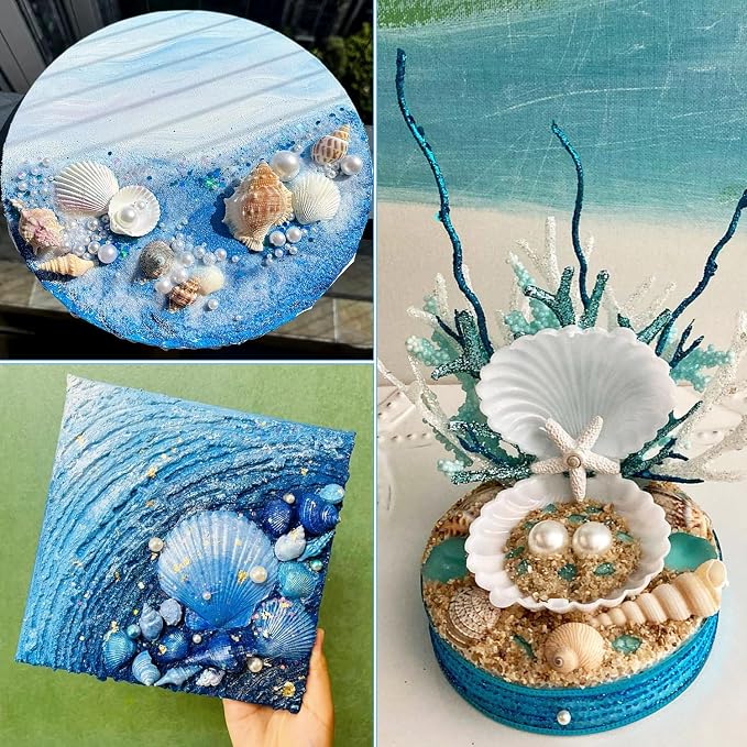 Jangostor 16 PCS Scallop Shells Natural Seashell, Fish Tank and Vase Filler - Image 6