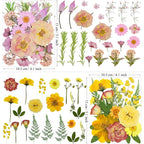 MIKIYA 86Pcs Dried Pressed Flowers - Image 5
