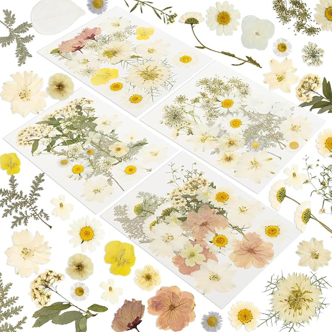 186 Pcs Dried Pressed Flowers for Resin Crafts, Real Natural Pressed Flowers by Unknown