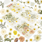 186 Pcs Dried Pressed Flowers for Resin Crafts, Real Natural Pressed Flowers by Unknown