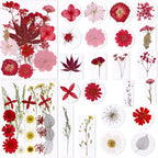 BIHRTC 100pcs Dried Pressed Flowers Red Real Pressed Colorful Flowers Dry - Image 2