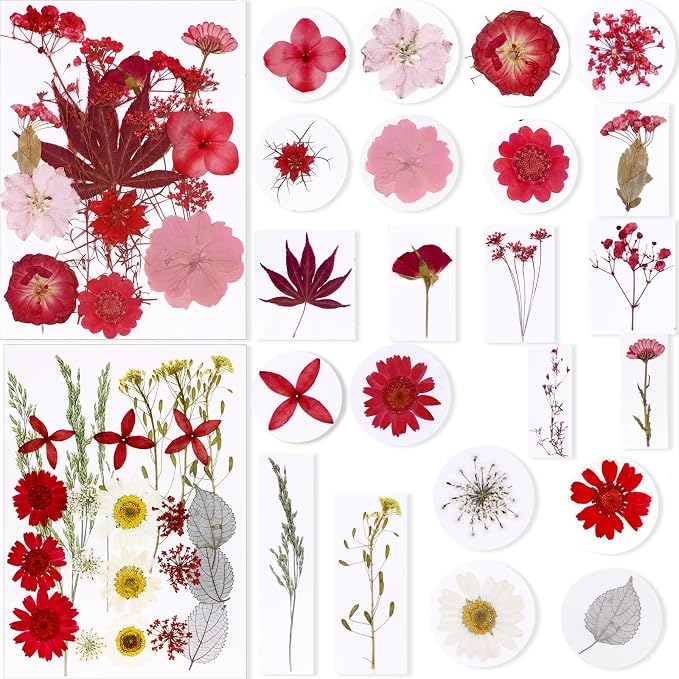 BIHRTC 100pcs Dried Pressed Flowers Red Real Pressed Colorful Flowers Dry - Image 2