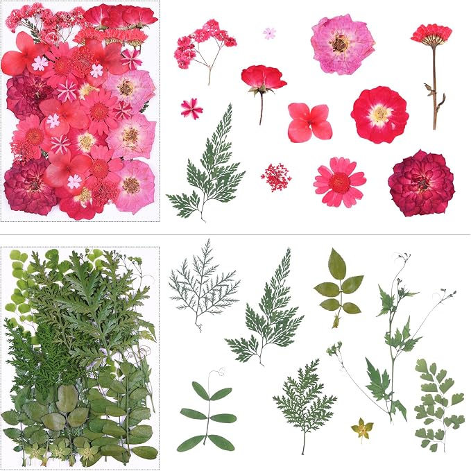 146Pcs Dried Pressed Flowers for Crafts, Xinxinran Dry Flowers Kit for Resin - Image 4