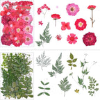 146Pcs Dried Pressed Flowers for Crafts, Xinxinran Dry Flowers Kit for Resin - Image 4