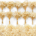6500+ Mini Dried Baby's Breath Flowers, Wedding Wreath, Card Making, Home Decor by Glicrili