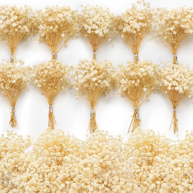 6500+ Mini Dried Baby's Breath Flowers, Wedding Wreath, Card Making, Home Decor by Glicrili