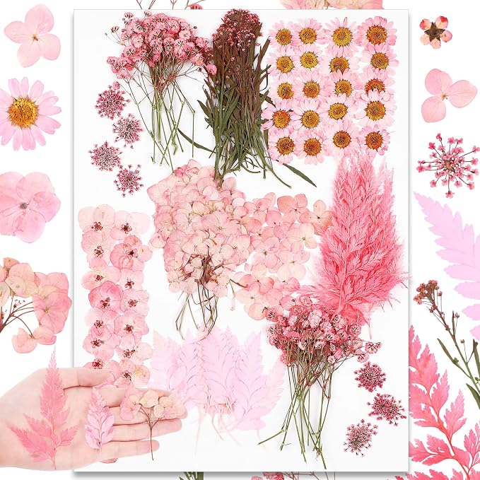 Fabbay 200 Pcs Dried Pressed Flowers Real Dry Natural Flower Leaf Dried Flowers by Fabbay