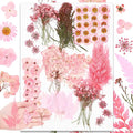 Fabbay 200 Pcs Dried Pressed Flowers Real Dry Natural Flower Leaf Dried Flowers by Fabbay