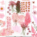 Fabbay 200 Pcs Dried Pressed Flowers Real Dry Natural Flower Leaf Dried Flowers by Fabbay