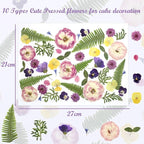48 Pcs Mix Natural Dried Pressed Flowers - Image 4