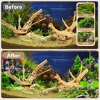 Jorewood Natural Large Spiderwood Driftwood - Image 7
