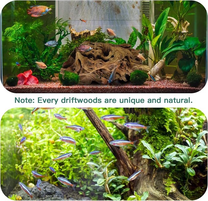 LYPHARD AQUARIUMS Driftwood for Aquarium, 14-18" Extra Large Drift Wood Fish - Image 3