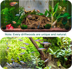 LYPHARD AQUARIUMS Driftwood for Aquarium, 14-18" Extra Large Drift Wood Fish - Image 3