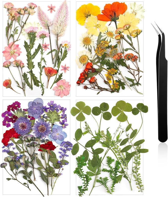 Nuanchu Dried Pressed Flowers for Crafts Resin Real Flat Dried Wildflowers Bulk by Nuanchu