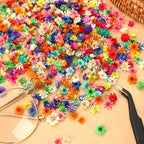 MARFOREVER 420 Pcs Small Dried Flowers - Image 4