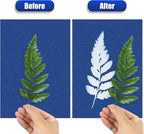 Sun Print Paper Kit Cyanotype Paper, 60 Sheets Cyanotype Papers - Image 4