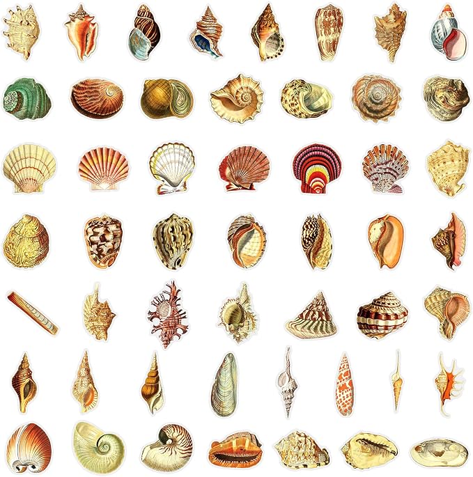 50PCS Aesthetic Sea Shell Stickers, PET Conch & Clamshell Decals, Waterproof - Image 4