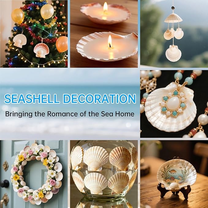 36PCS Natural Scallop Shells for Crafts, 2-3 Inch White Sea Shells for - Image 7