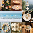 36PCS Natural Scallop Shells for Crafts, 2-3 Inch White Sea Shells for - Image 7