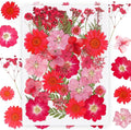 37Pcs Red Dried Pressed Flowers Natural Dried Flowers by Kaddmedia