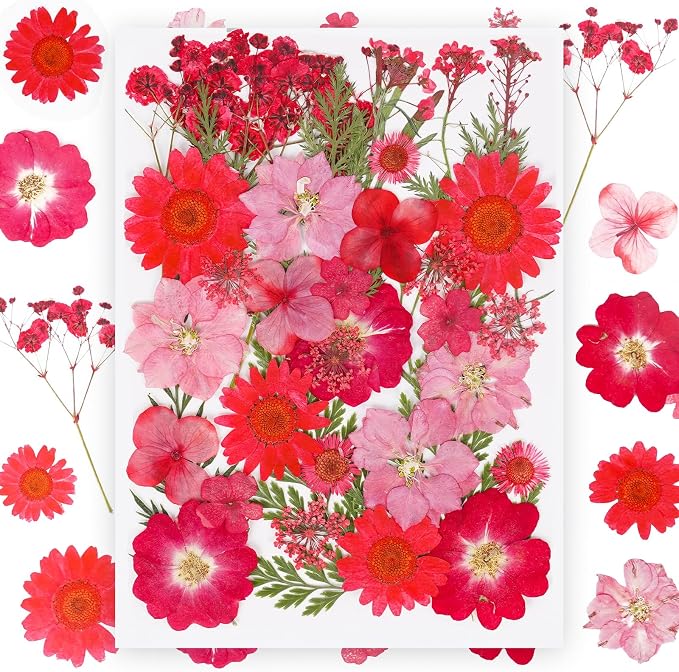 37Pcs Red Dried Pressed Flowers Natural Dried Flowers by Kaddmedia