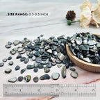 Natural Crushed Shells Chips Irregular Mother of Pearl Seashell Fragments Sea - Image 2
