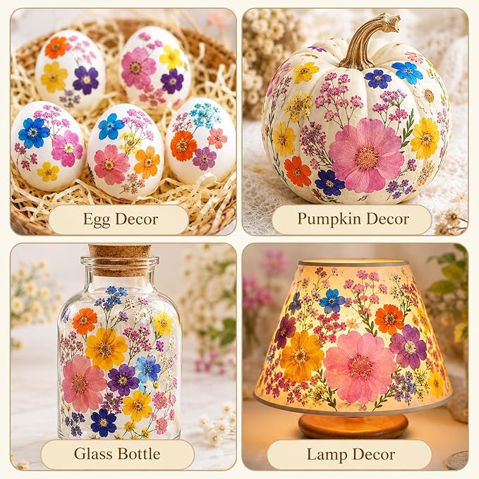 210 pcs Dried Flowers for Resin, Natural Flowers and Leaves Kit - Image 9