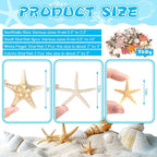 WEOXPR Mixed Seashells & Starfish Decor - Image 2