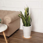 Boao 2 Pcs 12 Inch Large Cork Plant Coaster Round Cork Mat Trivet Absorbent - Image 2