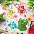 Nuanchu Dried Pressed Flowers for Crafts Resin Christmas Dried Flowers Bulk - Image 2