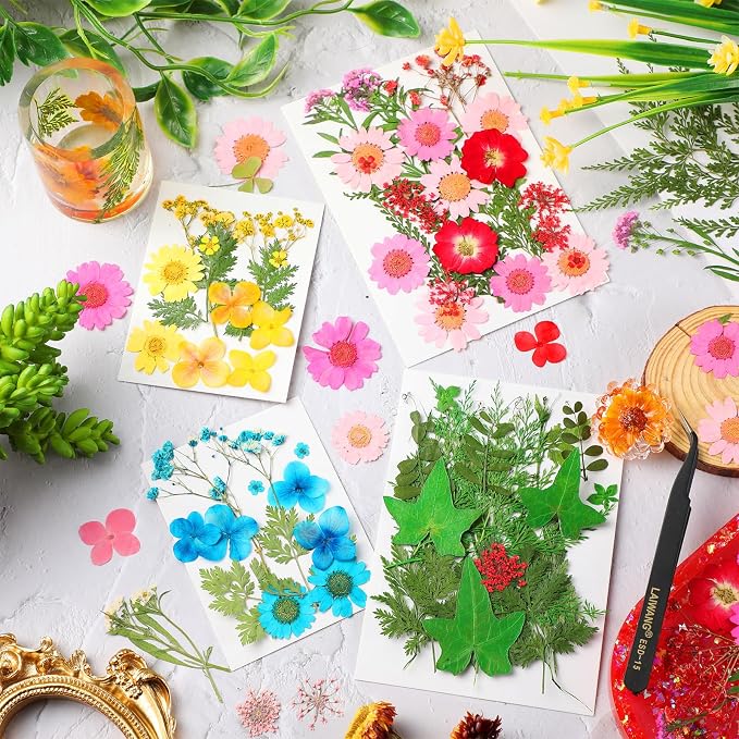 Nuanchu Dried Pressed Flowers for Crafts Resin Christmas Dried Flowers Bulk - Image 2