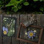 A4 Large Real Dried Pressed Leaves - Image 3