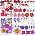 221PCS Real Nature Dried Pressed Flowers - Image 3