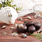 SUNNYCLUE 1 Box 24Pcs 6 Styles Sea Shell Pendants Electroplated Shell Charms - Image 5