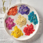 84 Pcs Dried Pressed Flowers for Crafts Resin Art DIY Natural Dry Sandalwood - Image 2