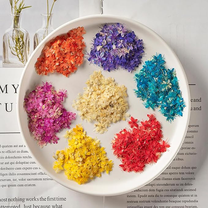 84 Pcs Dried Pressed Flowers for Crafts Resin Art DIY Natural Dry Sandalwood - Image 2