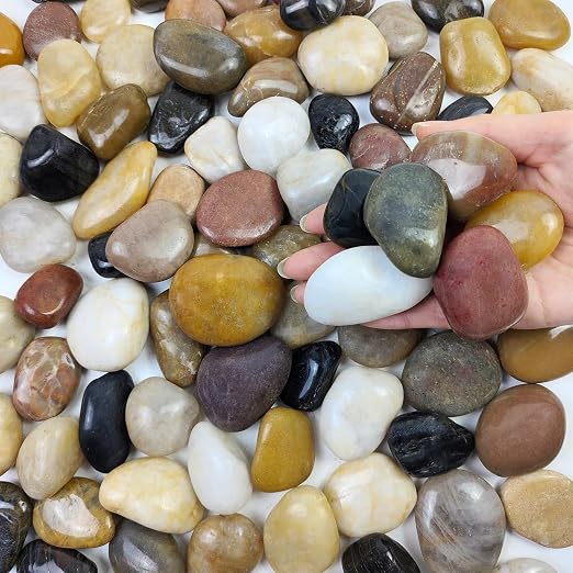 FANTIAN 2 lbs Pebbles for Plants, 1-2 inch Polished River Rocks for Plants by FANTIAN-GardeningMakesLifeBetter