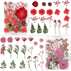 LUXEEASE 80P Vibrant Multicolor Dried Pressed Flowers | No matching needed - Image 2