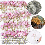 50Pcs Pink Babys Breath Dried Pressed Flowers - Image 4