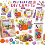 181 pcs Dried Flowers for Resin, Natural Flowers and Leaves Kit - Image 5