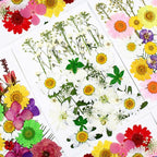 86Pcs White Pressed Dried Flowers Real Natural Leave - Image 3