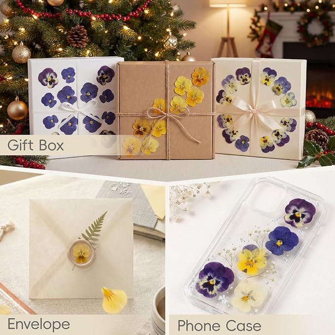 LUXEEASE 8 Color 64P Pansy Dried Pressed Flowers | Iconic face markings - Image 8