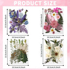 Augshy Dried Pressed Flowers Dry Leaves, Scrapbooking - Image 2
