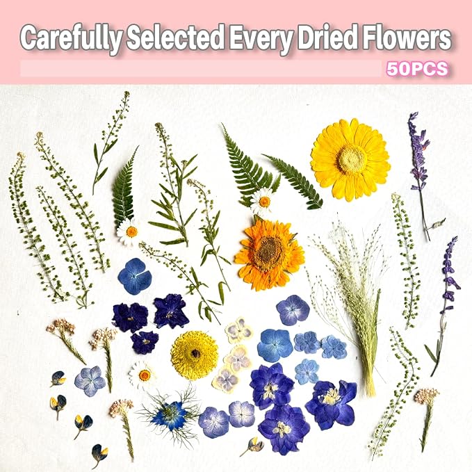 A4 Large Dried Pressed Flowers for Resin Real Dry Natural Flowers Leaves for - Image 3