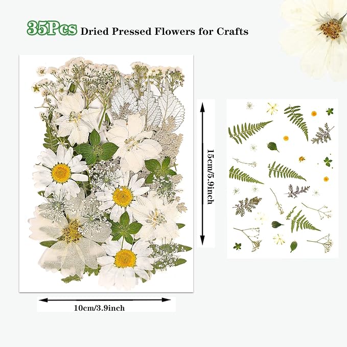 White Dried Pressed Flowers for Crafts, Real Natural Dried Flowers and Leaves - Image 2