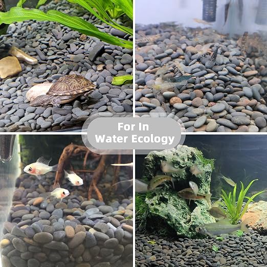 2.4lb River Rocks Pebbles for Plants & Succulents, Decorative Outdoor - Image 5
