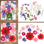 Nuanchu Pressed Flowers Bulk Dried Flower - Image 4