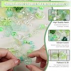 350 Pieces 3D Resin ABS Colorful Rose Flower Bows Butterfly Charms - Image 5
